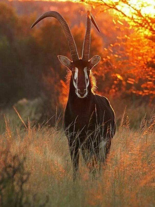 Weltevreden Game Lodge 블룸폰테인 외부 사진