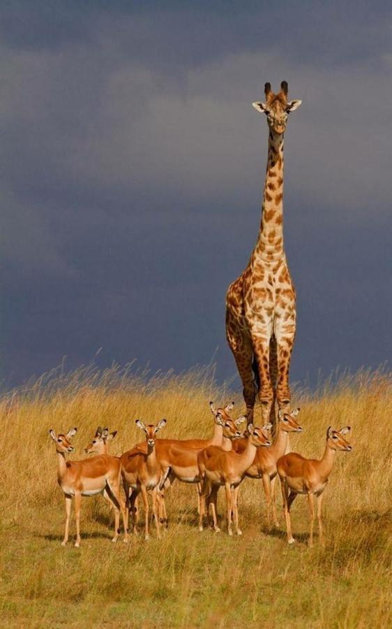 Weltevreden Game Lodge 블룸폰테인 외부 사진