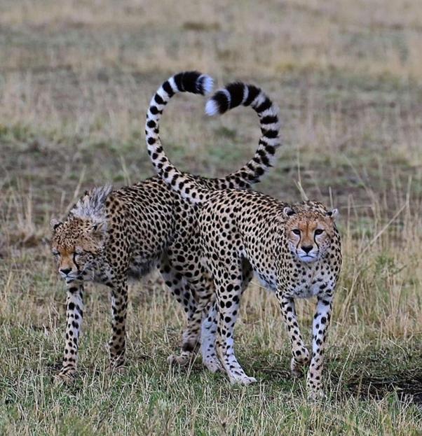 Weltevreden Game Lodge 블룸폰테인 외부 사진